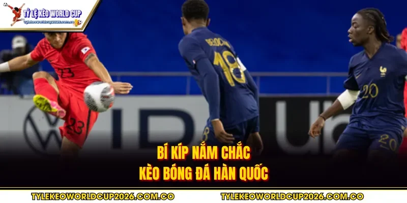 Bí kíp nắm chắc kèo bóng đá Hàn Quốc