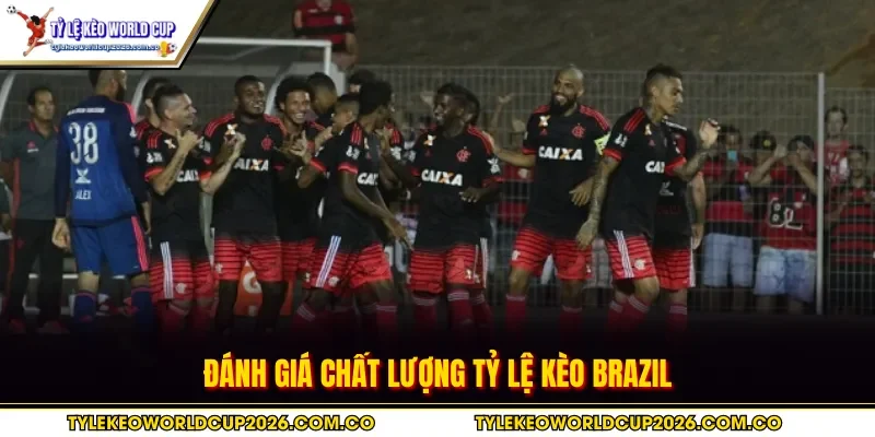 Đánh giá chất lượng tỷ lệ kèo Brazil