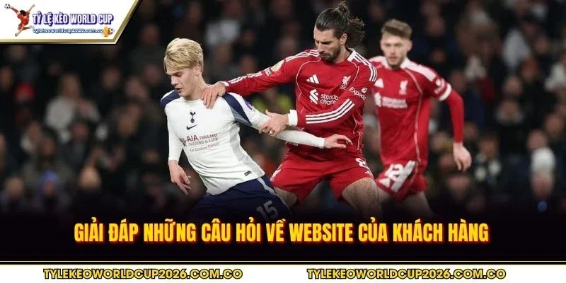 Giải đáp những câu hỏi về website của khách hàng