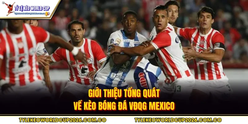 Giới thiệu tổng quát về kèo bóng đá VĐQG Mexico