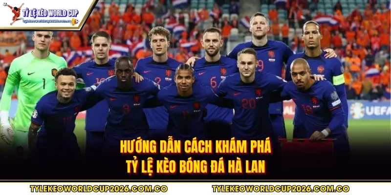 Hướng dẫn cách khám phá tỷ lệ kèo bóng đá Hà Lan