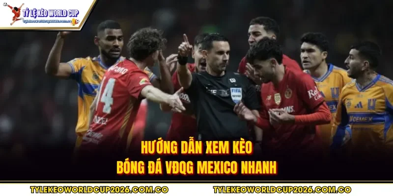 Hướng dẫn xem kèo bóng đá VĐQG Mexico nhanh