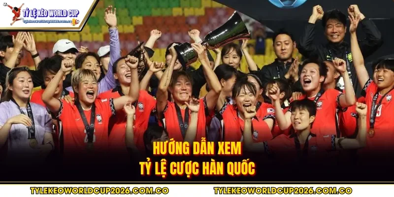 Hướng dẫn xem tỷ lệ cược Hàn Quốc