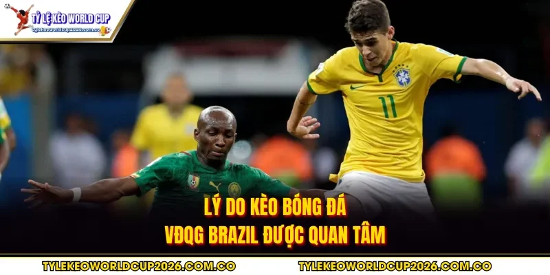Lý do kèo bóng đá VĐQG Brazil được quan tâm
