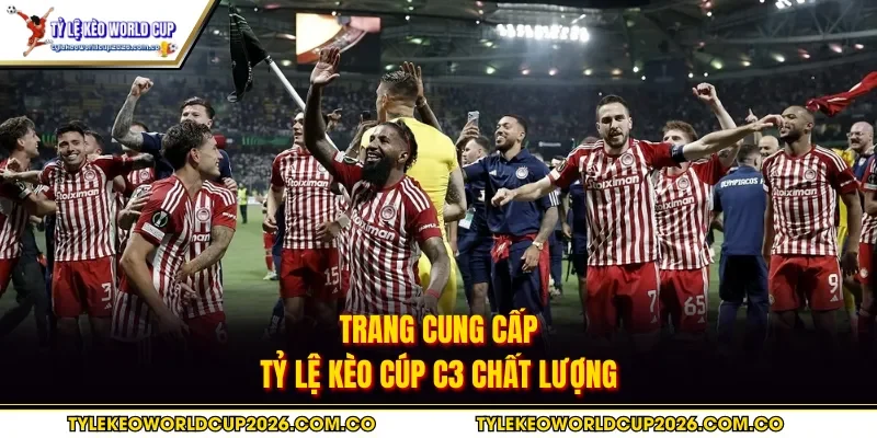 Nền tảng chọn lọc nơi uy tín để phân tích