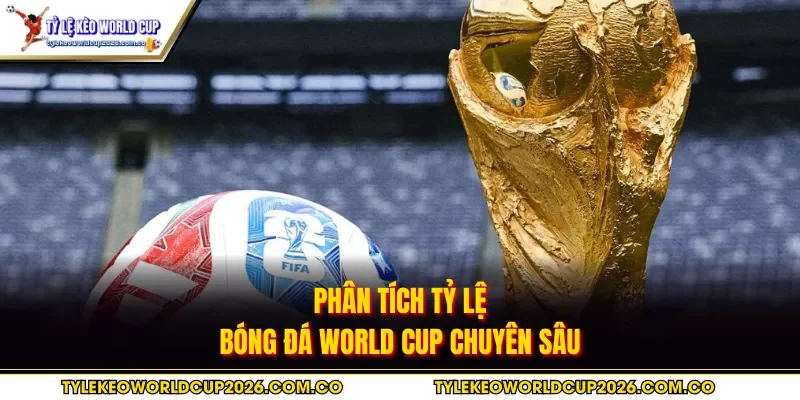 Phân tích tỷ lệ bóng đá World Cup chuyên sâu