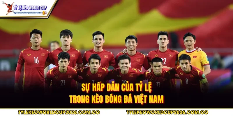 Sự hấp dẫn của tỷ lệ trong kèo bóng đá Việt Nam