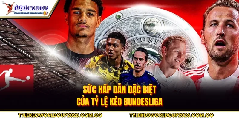 Sức hấp dẫn đặc biệt của tỷ lệ kèo Bundesliga