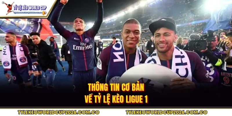 Thông tin cơ bản về tỷ lệ kèo Ligue 1