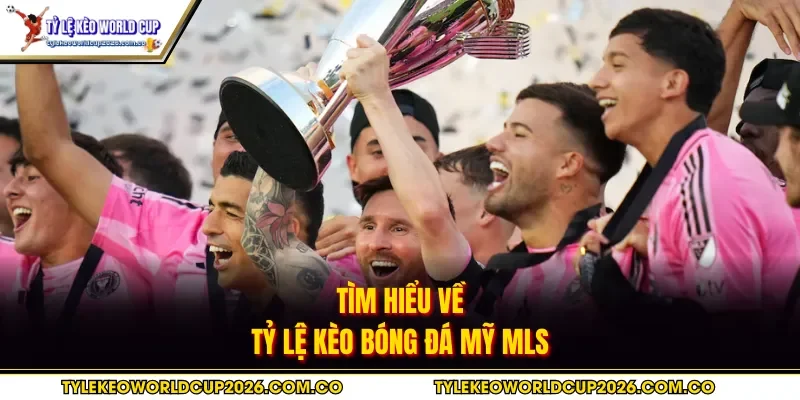 Tìm hiểu về tỷ lệ kèo bóng đá Mỹ MLS