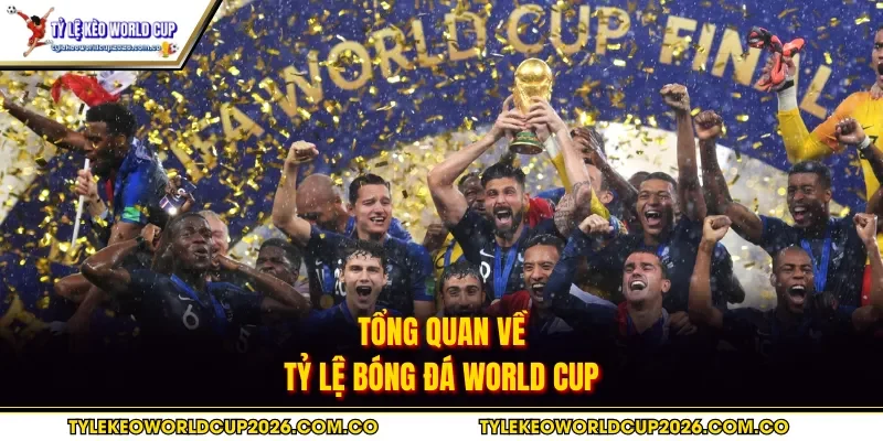 Tổng quan về tỷ lệ bóng đá World Cup